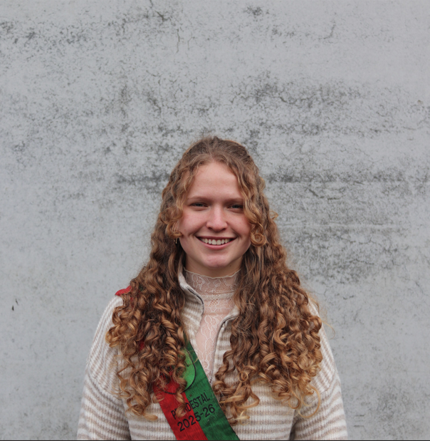 Schermafbeelding 2026-04-27 142052